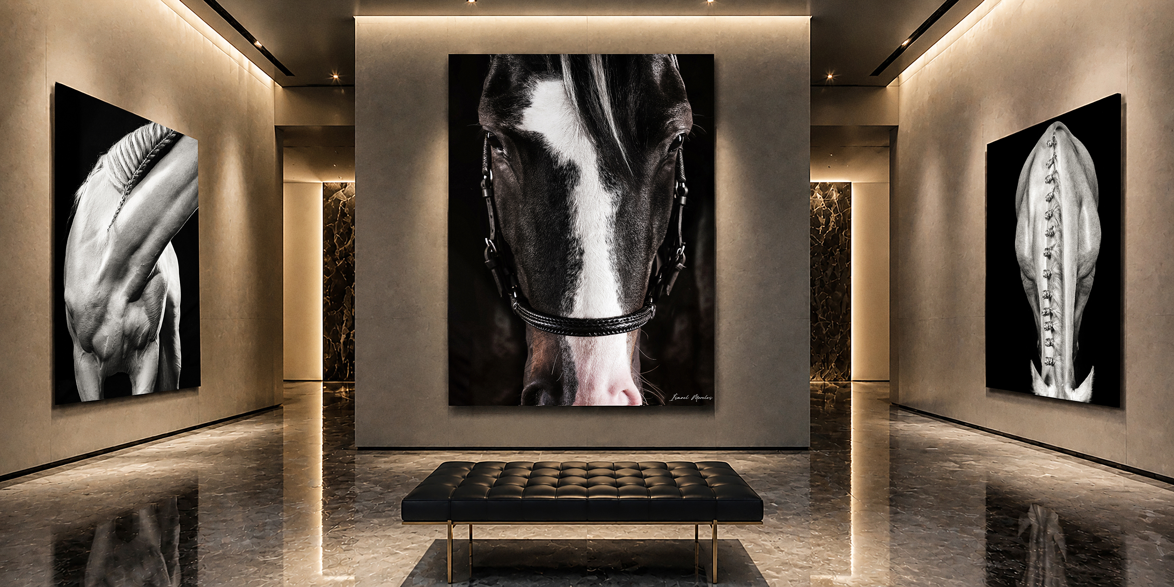 Contemporary gallery interior featuring three large-scale equine fine-art photographs by Ismael Morelos.